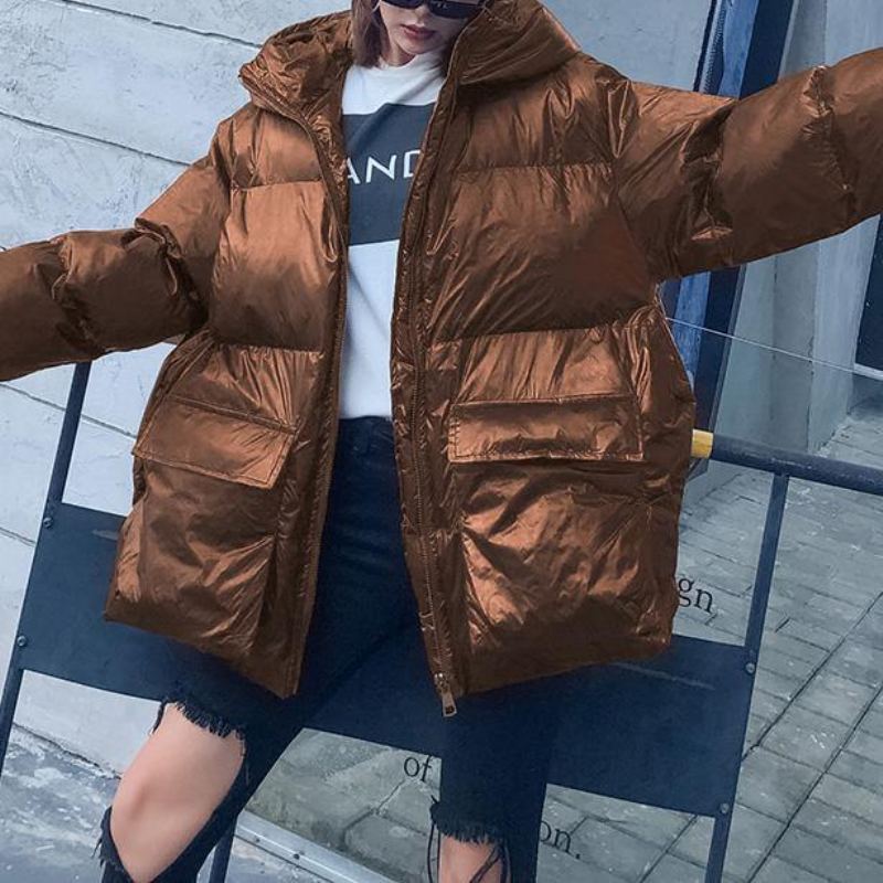 Vestes De Neige Amples Pour Femmes Manteau En Duvet D'oie À Capuche Et Fermeture Éclair Chocolat